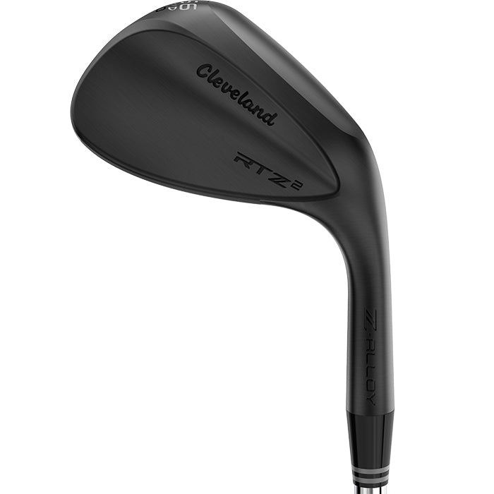 Cleveland RTZ 2 Black Satin Wedge