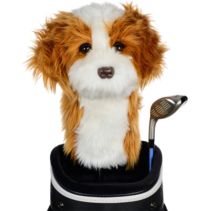 Daphne's Cavapoo Driver Headcover