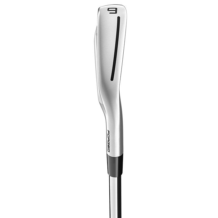 TaylorMade 2021 P790 Irons