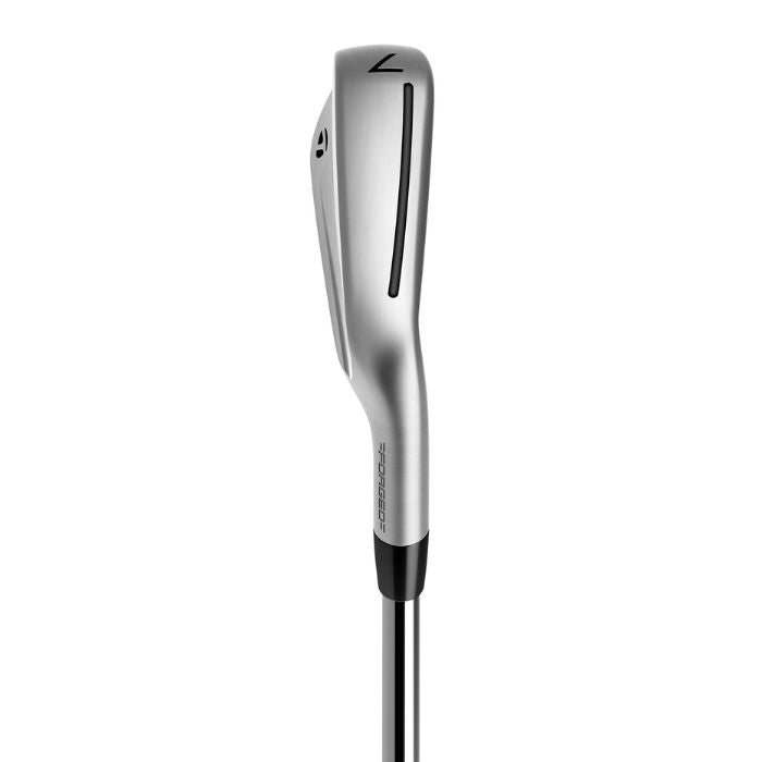 TaylorMade P790 Irons