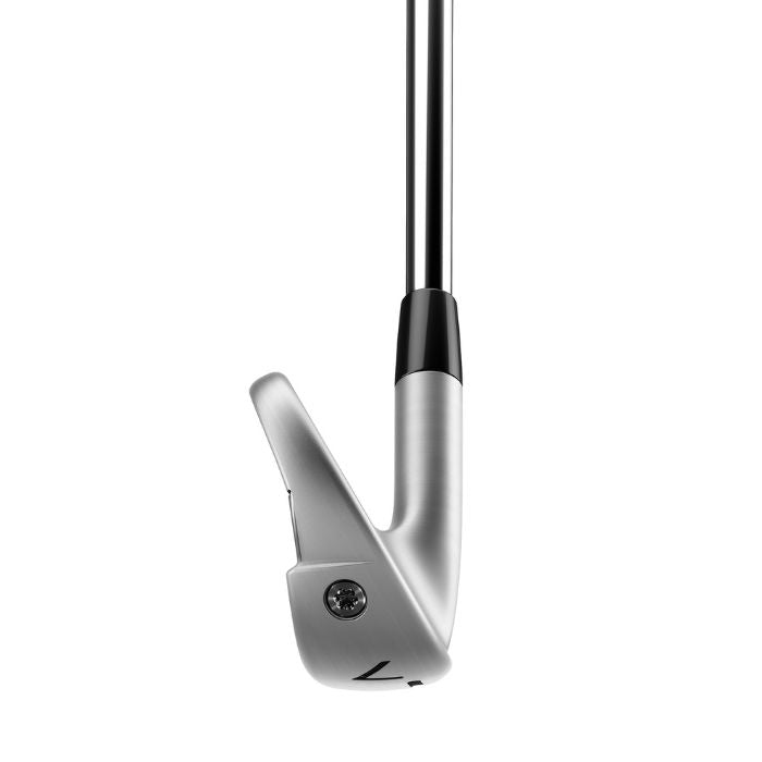 TaylorMade P790 Irons