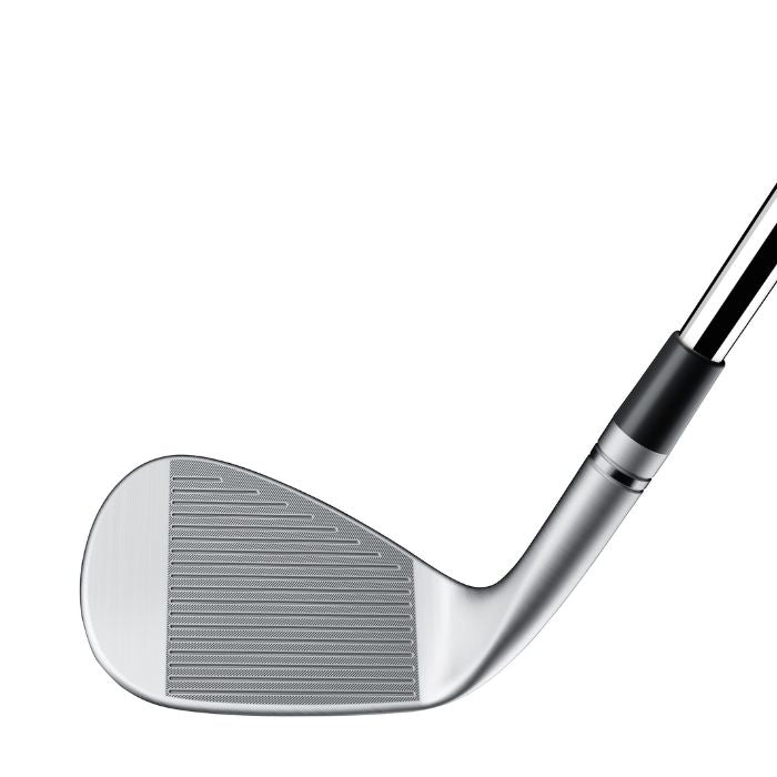 TaylorMade P790 Individual Irons
