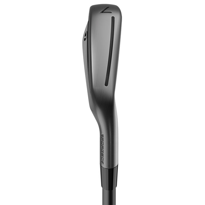 TaylorMade P790 BattleWorn Irons